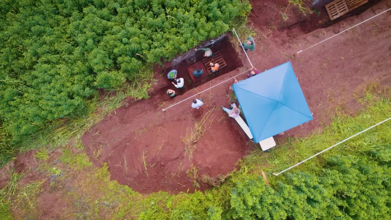 Vista aérea de um dia de campo da Raíx: participantes reunidos ao redor de uma trincheira de solo em meio à lavoura